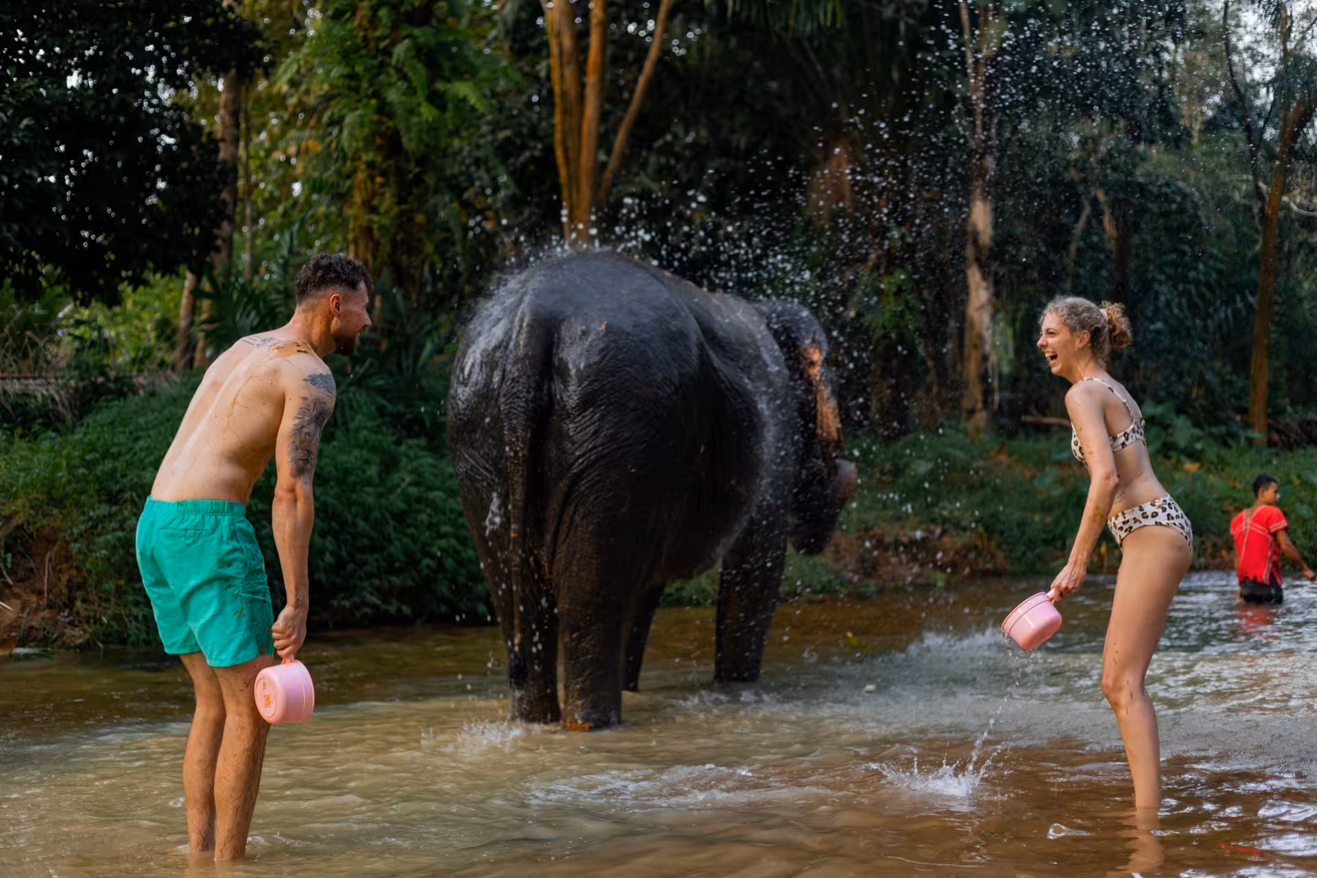 Elephants mud bathing